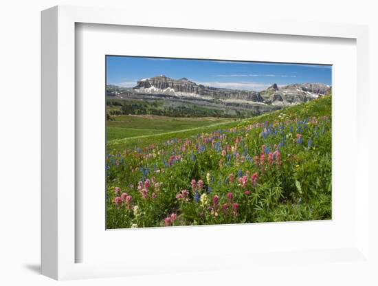 Alaska Basin Wildflower Meadow, Caribou -Targhee Nf, WYoming-Howie Garber-Framed Photographic Print