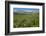 Alaska Basin Wildflower Meadow, Caribou -Targhee Nf, WYoming-Howie Garber-Framed Photographic Print