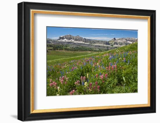 Alaska Basin Wildflower Meadow, Caribou -Targhee Nf, WYoming-Howie Garber-Framed Photographic Print