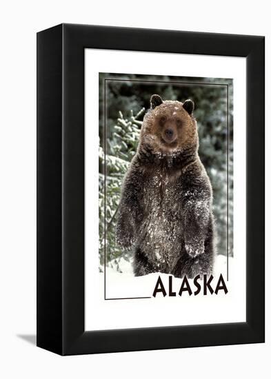Alaska - Bear Standing in Snow-Lantern Press-Framed Stretched Canvas
