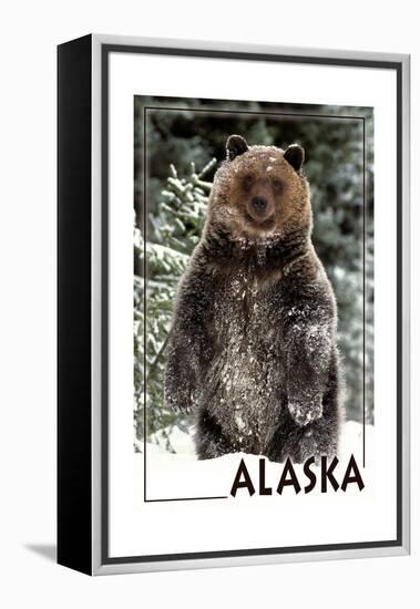 Alaska - Bear Standing in Snow-Lantern Press-Framed Stretched Canvas