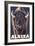 Alaska, Bison Up Close-Lantern Press-Framed Art Print