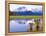 Alaska Brown Bears, Alaska.-Stuart Westmorland-Framed Premier Image Canvas