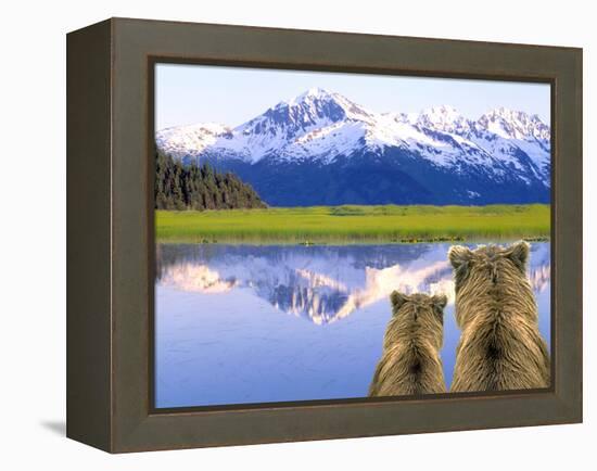 Alaska Brown Bears, Alaska.-Stuart Westmorland-Framed Premier Image Canvas
