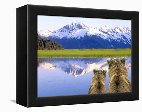 Alaska Brown Bears, Alaska.-Stuart Westmorland-Framed Premier Image Canvas