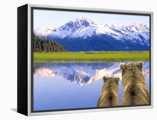 Alaska Brown Bears, Alaska.-Stuart Westmorland-Framed Premier Image Canvas