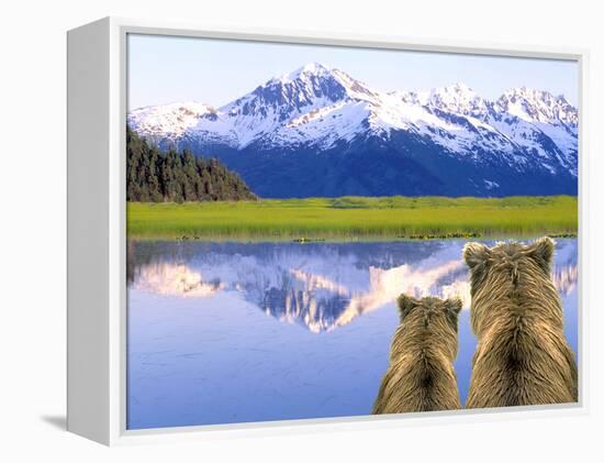Alaska Brown Bears, Alaska.-Stuart Westmorland-Framed Premier Image Canvas