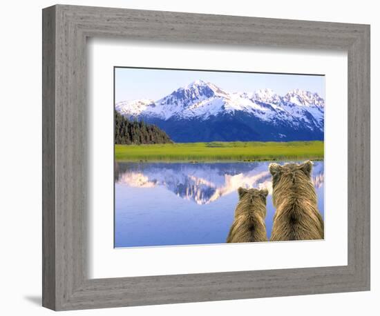 Alaska Brown Bears, Alaska.-Stuart Westmorland-Framed Photographic Print