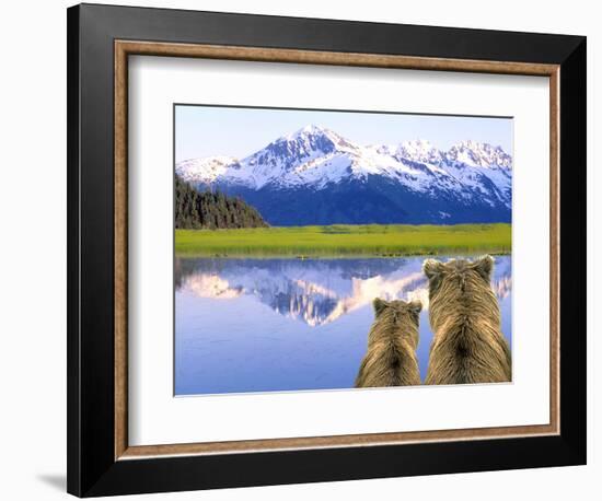 Alaska Brown Bears, Alaska.-Stuart Westmorland-Framed Photographic Print