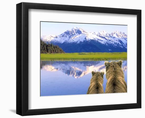 Alaska Brown Bears, Alaska.-Stuart Westmorland-Framed Photographic Print