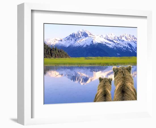 Alaska Brown Bears, Alaska.-Stuart Westmorland-Framed Photographic Print