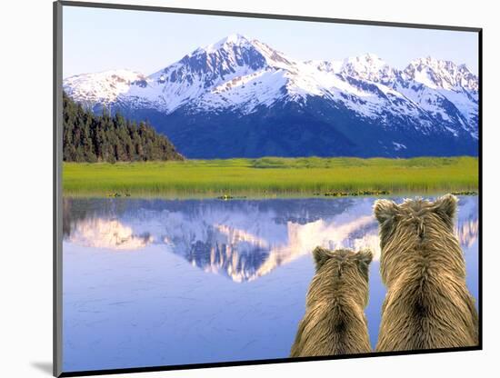 Alaska Brown Bears, Alaska.-Stuart Westmorland-Mounted Photographic Print