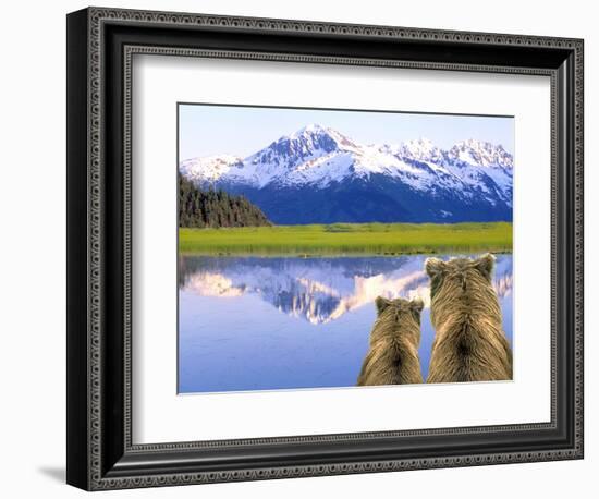 Alaska Brown Bears, Alaska.-Stuart Westmorland-Framed Photographic Print