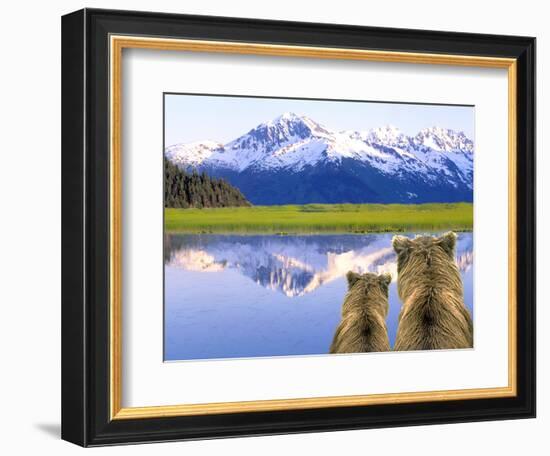 Alaska Brown Bears, Alaska.-Stuart Westmorland-Framed Photographic Print