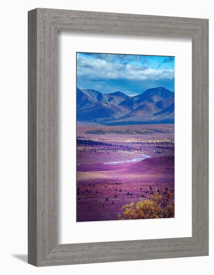 Alaska, Denali National Park. Autumn landscape of valley and mountains.-Janet Muir-Framed Photographic Print