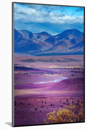 Alaska, Denali National Park. Autumn landscape of valley and mountains.-Janet Muir-Mounted Photographic Print