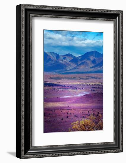 Alaska, Denali National Park. Autumn landscape of valley and mountains.-Janet Muir-Framed Photographic Print