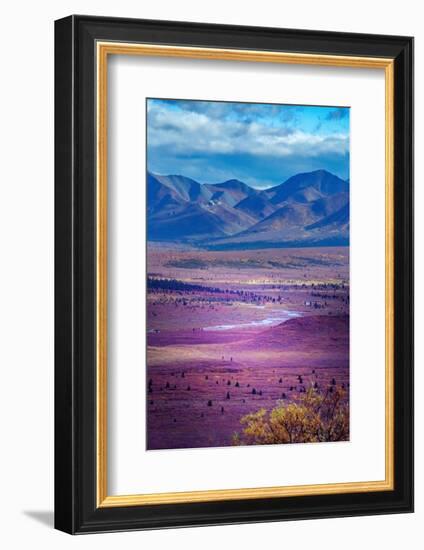 Alaska, Denali National Park. Autumn landscape of valley and mountains.-Janet Muir-Framed Photographic Print