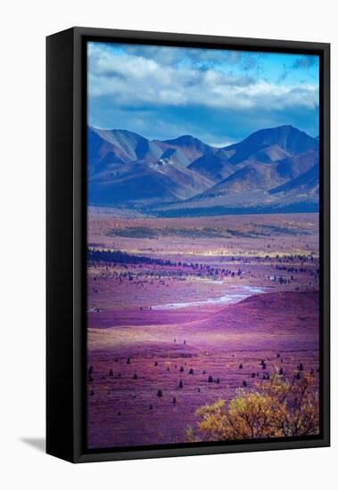 Alaska, Denali National Park. Autumn landscape of valley and mountains.-Janet Muir-Framed Premier Image Canvas