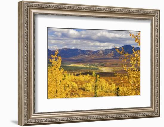 Alaska, Denali National Park. Golden landscape of valley and mountains.-Janet Muir-Framed Photographic Print