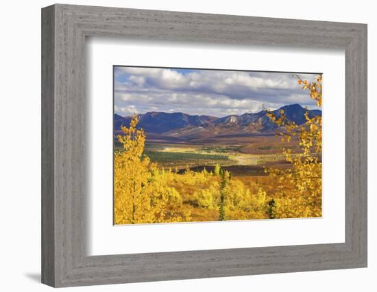 Alaska, Denali National Park. Golden landscape of valley and mountains.-Janet Muir-Framed Photographic Print