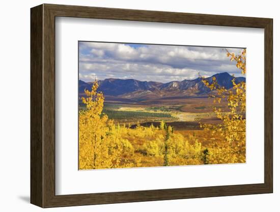 Alaska, Denali National Park. Golden landscape of valley and mountains.-Janet Muir-Framed Photographic Print