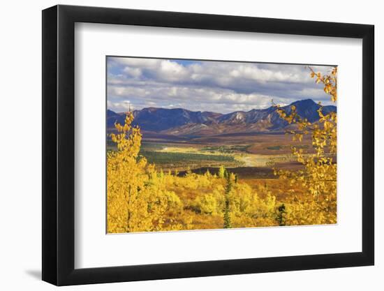 Alaska, Denali National Park. Golden landscape of valley and mountains.-Janet Muir-Framed Photographic Print