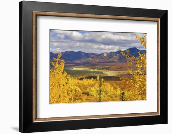 Alaska, Denali National Park. Golden landscape of valley and mountains.-Janet Muir-Framed Photographic Print