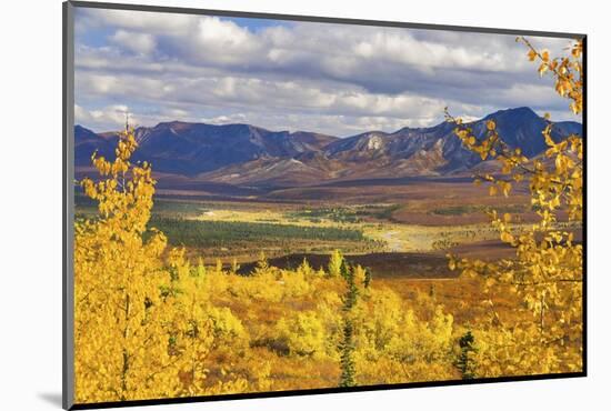 Alaska, Denali National Park. Golden landscape of valley and mountains.-Janet Muir-Mounted Photographic Print