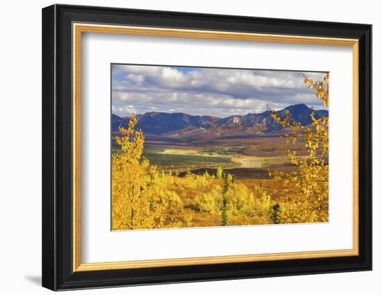 Alaska, Denali National Park. Golden landscape of valley and mountains.-Janet Muir-Framed Photographic Print