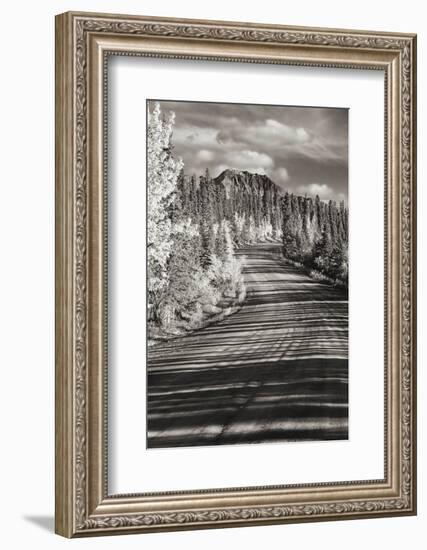 Alaska, Denali National Park. Road winding through Denali.-Janet Muir-Framed Photographic Print