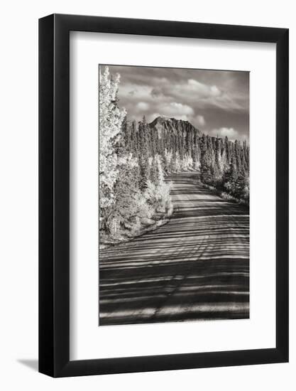 Alaska, Denali National Park. Road winding through Denali.-Janet Muir-Framed Photographic Print