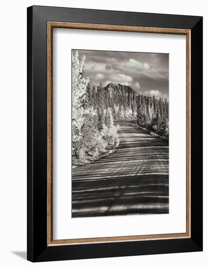 Alaska, Denali National Park. Road winding through Denali.-Janet Muir-Framed Photographic Print