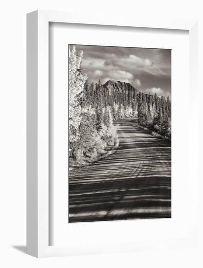 Alaska, Denali National Park. Road winding through Denali.-Janet Muir-Framed Photographic Print