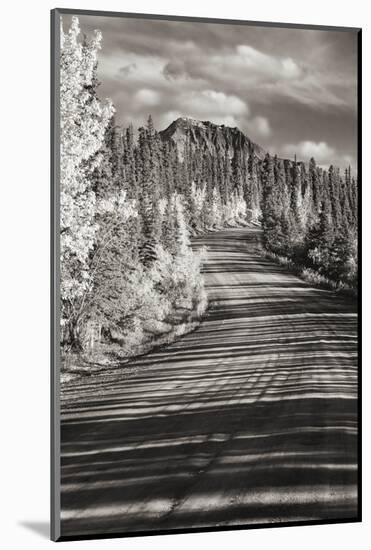 Alaska, Denali National Park. Road winding through Denali.-Janet Muir-Mounted Photographic Print