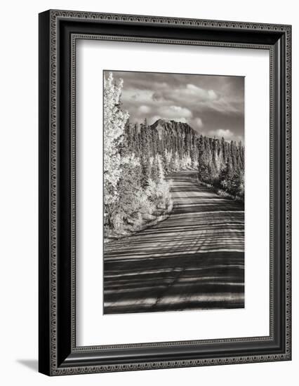 Alaska, Denali National Park. Road winding through Denali.-Janet Muir-Framed Photographic Print