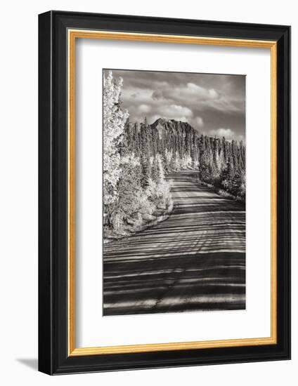 Alaska, Denali National Park. Road winding through Denali.-Janet Muir-Framed Photographic Print