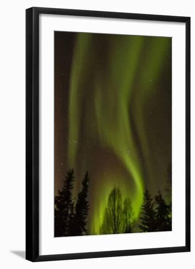 Alaska, Fairbanks. Northern Lights Patterns and Colors-Jaynes Gallery-Framed Photographic Print