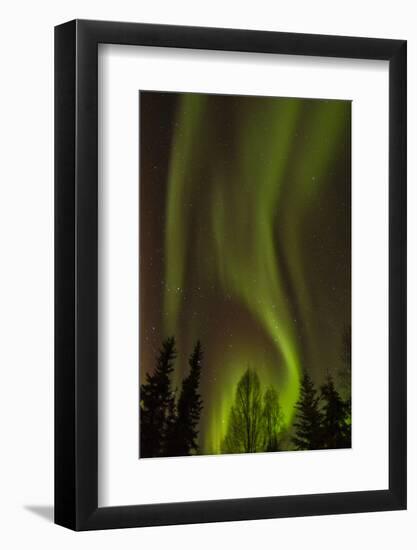 Alaska, Fairbanks. Northern Lights Patterns and Colors-Jaynes Gallery-Framed Photographic Print