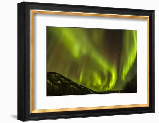 Alaska, Fairbanks. Northern Lights Patterns and Colors-Jaynes Gallery-Framed Photographic Print