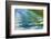 Alaska, Glacier Bay National Park. Boat Wake in Dundas Bay-Jaynes Gallery-Framed Photographic Print