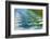 Alaska, Glacier Bay National Park. Boat Wake in Dundas Bay-Jaynes Gallery-Framed Photographic Print