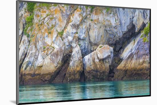 Alaska, Glacier Bay National Park. Cliff Reflects in Seawater-Jaynes Gallery-Mounted Photographic Print