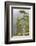 Alaska, Glacier Bay National Park. Hemlock Tree in Forest-Jaynes Gallery-Framed Photographic Print