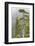 Alaska, Glacier Bay National Park. Hemlock Tree in Forest-Jaynes Gallery-Framed Photographic Print