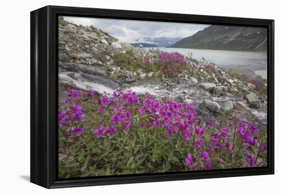 Alaska, Glacier Bay National Park. Small Stream Cascade-Jaynes Gallery-Framed Premier Image Canvas