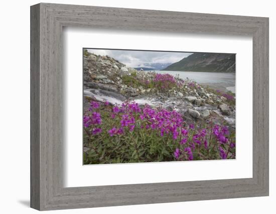 Alaska, Glacier Bay National Park. Small Stream Cascade-Jaynes Gallery-Framed Photographic Print