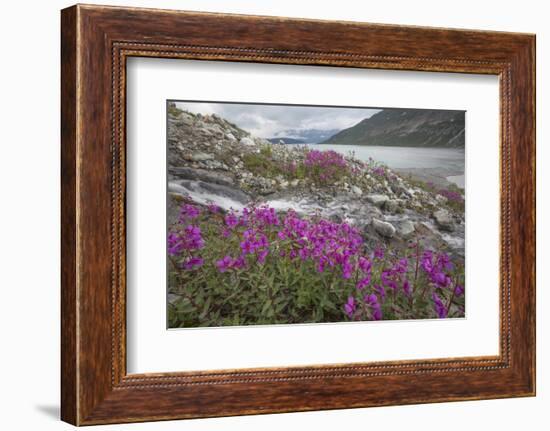 Alaska, Glacier Bay National Park. Small Stream Cascade-Jaynes Gallery-Framed Photographic Print