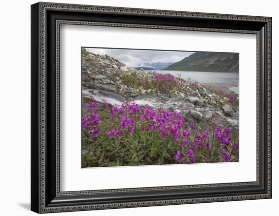 Alaska, Glacier Bay National Park. Small Stream Cascade-Jaynes Gallery-Framed Photographic Print