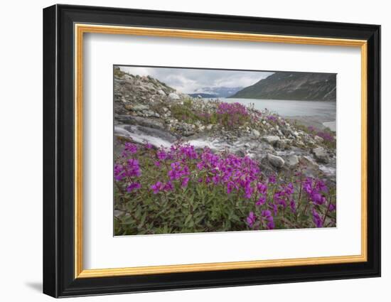 Alaska, Glacier Bay National Park. Small Stream Cascade-Jaynes Gallery-Framed Photographic Print